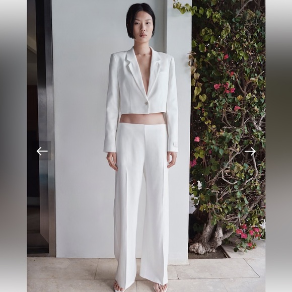 Aritzia Babaton PARITY LINEN PANT | Size 2 - Picture 1 of 7